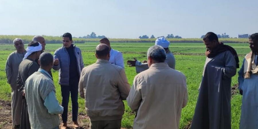 الزراعة تقدم الخدمات الإرشادية والنصائح الفنية بمحافظة الاقصر - شبكة أطلس سبورت