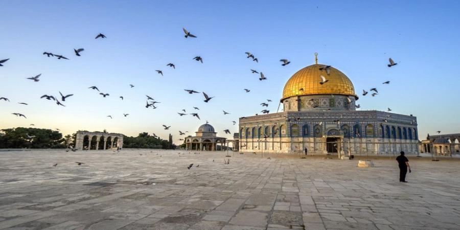 أوقاف القدس: مظلات في باحات المسجد الأقصى لحماية المصلين من البرد - شبكة أطلس سبورت