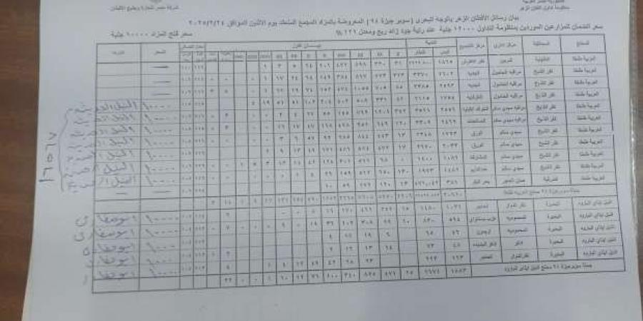 سعر قنطار القطن في الوجه البحري بعد انتهاء مزاد اليوم - أطلس سبورت