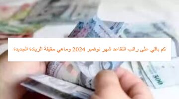 المؤسسة العامة للتأمينات الاجتماعية … تكشف عن موعد إيداع راتب التقاعد لشهر نوفمبر 2024 وتوضح حقيقة الزيادة