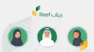 متي ينزل دعم ريف لشهر نوفمبر 2024؟ وماهي الشروط المطلوبة لاستحقاق صرف الدعم .. ريف السعودية يُجيب