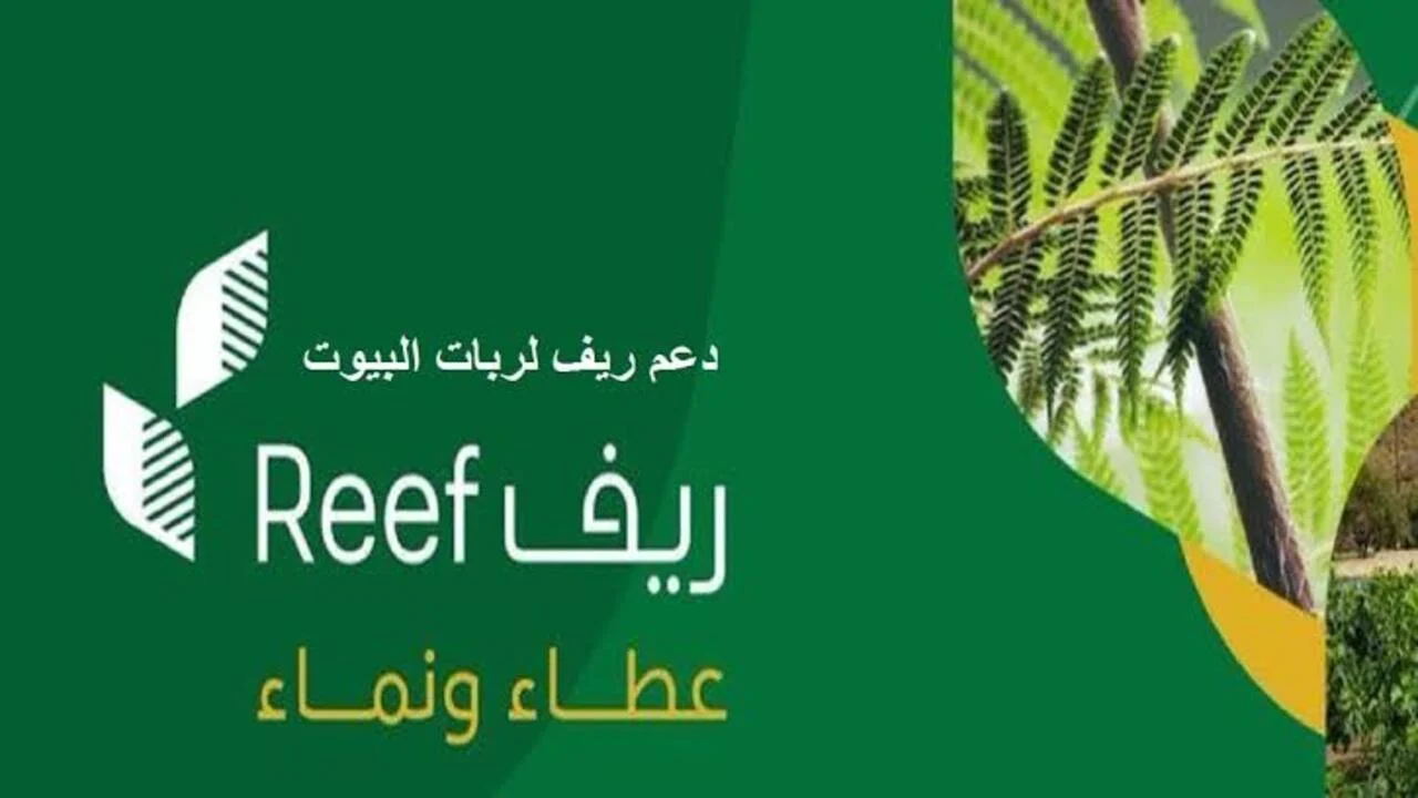 كل ما تحتاج معرفته عن برنامج ريف reef.gov.sa.. شروط التسجيل وخطوات التقديم والأوراق المطلوبة بالتفصيل