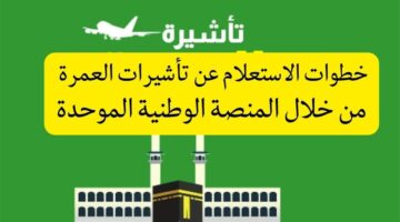 كيفية الاستعلام عن تأشيرة عمرة برقم الجواز عبر منصة التأشيرات السعودية 1445