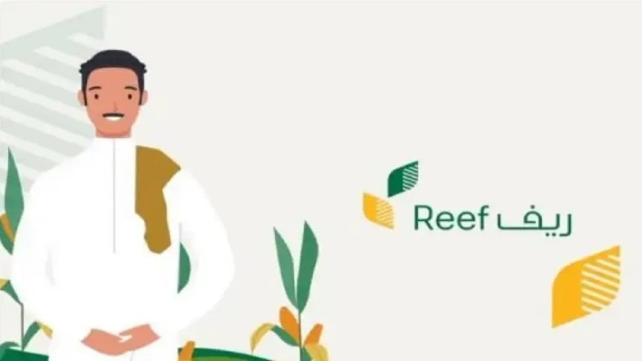 reef.gov.sa للمقبولين القدام والجدد استعلام عن دعم ريف لشهر ديسمبر 2024