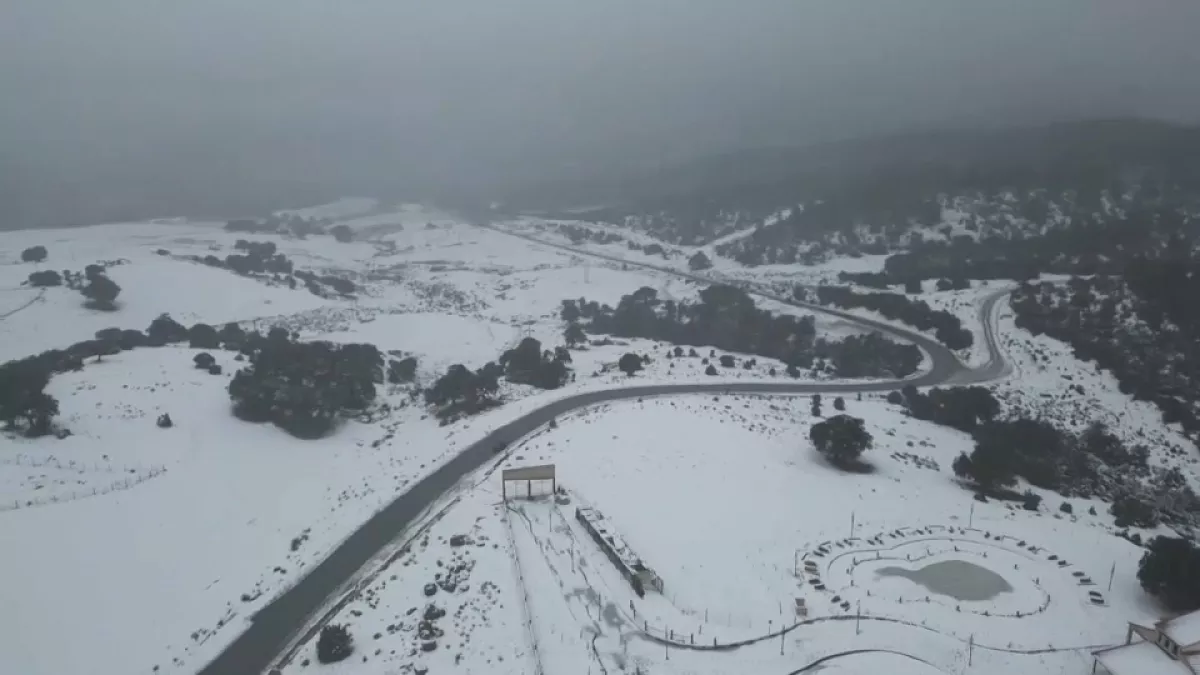 أحوال الطقس في الجزائر الديوان الوطني يحذر المواطنين من تساقط ثلوج 🌩 وموجة برد قارس