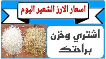 أسعار الأرز اليوم