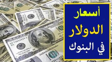 سعر الدولار في البنوك اليوم 9 2 2025