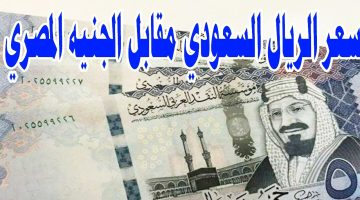 سعر الريال السعودي مقابل الجنيه المصري