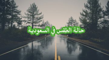 طقس السعودية