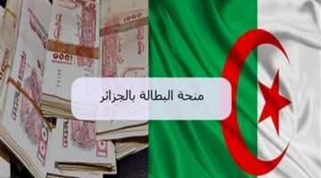 الوكالة الوطنية للتشغيل … تُذكر أبرز الشروط المطلوبة للتسجيل في منحة البطالة 2025 وآليات التجديد كل 6 أشهر