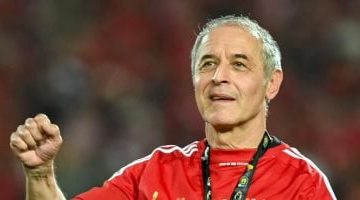 الأهلي يتجه لنجم برتغالي معروف لتحديد المدرب المقبل