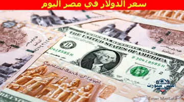 سعر الدولار في مصر اليوم