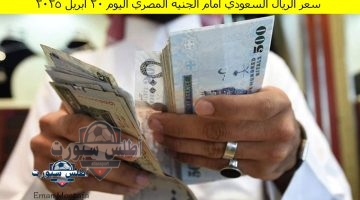 سعر الريال السعودي أمام الجنيه المصري اليوم 20 أبريل 2025