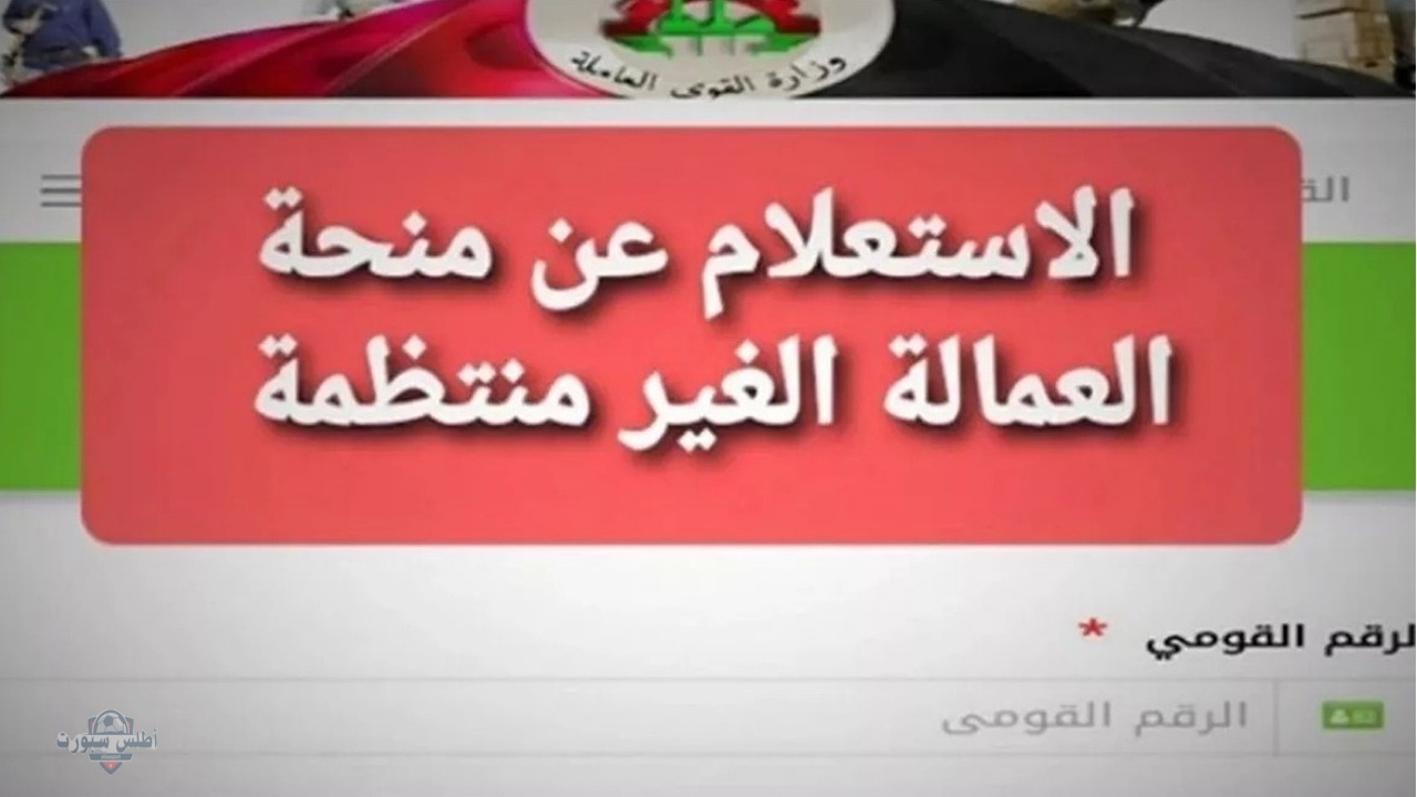 "بقيمة 1500 جنيه" خطوات الاستعلام عن منحة العمالة الغير منتظمة 2025 بالرقم القومي وموعد الصرف 2 “بقيمة 1500 جنيه” خطوات الاستعلام عن منحة العمالة الغير منتظمة 2025 بالرقم القومي وموعد الصرف