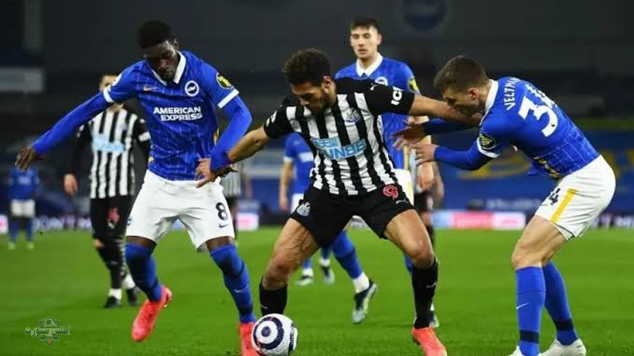 موعد مباراة نيوكاسل وبرايتون في الدوري الانجليزي الممتاز والقنوات الناقلة للمباراة 2 موعد مباراة نيوكاسل وبرايتون في الدوري الانجليزي الممتاز والقنوات الناقلة للمباراة