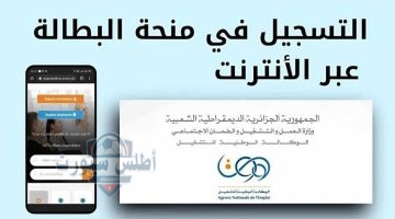 IMG ٢٠٢٥٠٥٠٩ ١١٢٥٢٢ 1280 x 720 pixel
