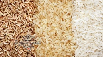 أسعار الأرز الشعير 1