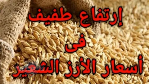 أسعار الأرز الشعير اليوم في السوق المصري اليوم 13 مايو 2 أسعار الأرز الشعير اليوم في السوق المصري اليوم 13 مايو