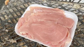 أسعار البانيه 1