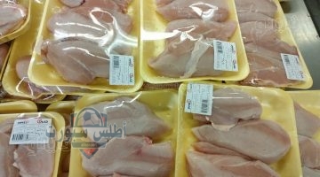 أسعار البانيه
