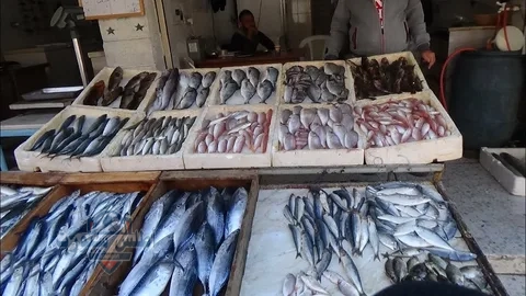 أسعار السمك اليوم 13 مايو 2025 في المحلات والأسواق المصرية 2 أسعار السمك اليوم 13 مايو 2025 في المحلات والأسواق المصرية