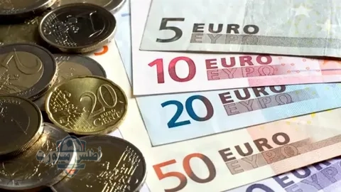 أسعار اليورو اليوم الاثنين 12 مايو 2025 في البنوك المصرية 2 أسعار اليورو اليوم الاثنين 12 مايو 2025 في البنوك المصرية