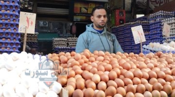 أسعار كرتونة البيض