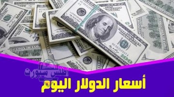 اسعار الدولار