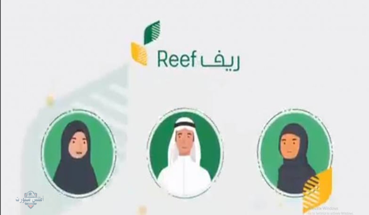 احصل على الدعم بكل سهولة .. الاستعلام عن دعم ريف وأهم الشروط للحصول عليه 2 احصل على الدعم بكل سهولة .. الاستعلام عن دعم ريف وأهم الشروط للحصول عليه