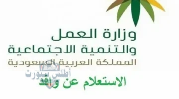 الاستعلام عن موظف وافد