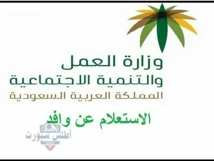 خطوات الاستعلام عن موظف وافد 1446 2 خطوات الاستعلام عن موظف وافد 1446