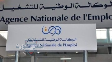 الفئات الغير مسموح لهم تجديد منحة البطالة 1