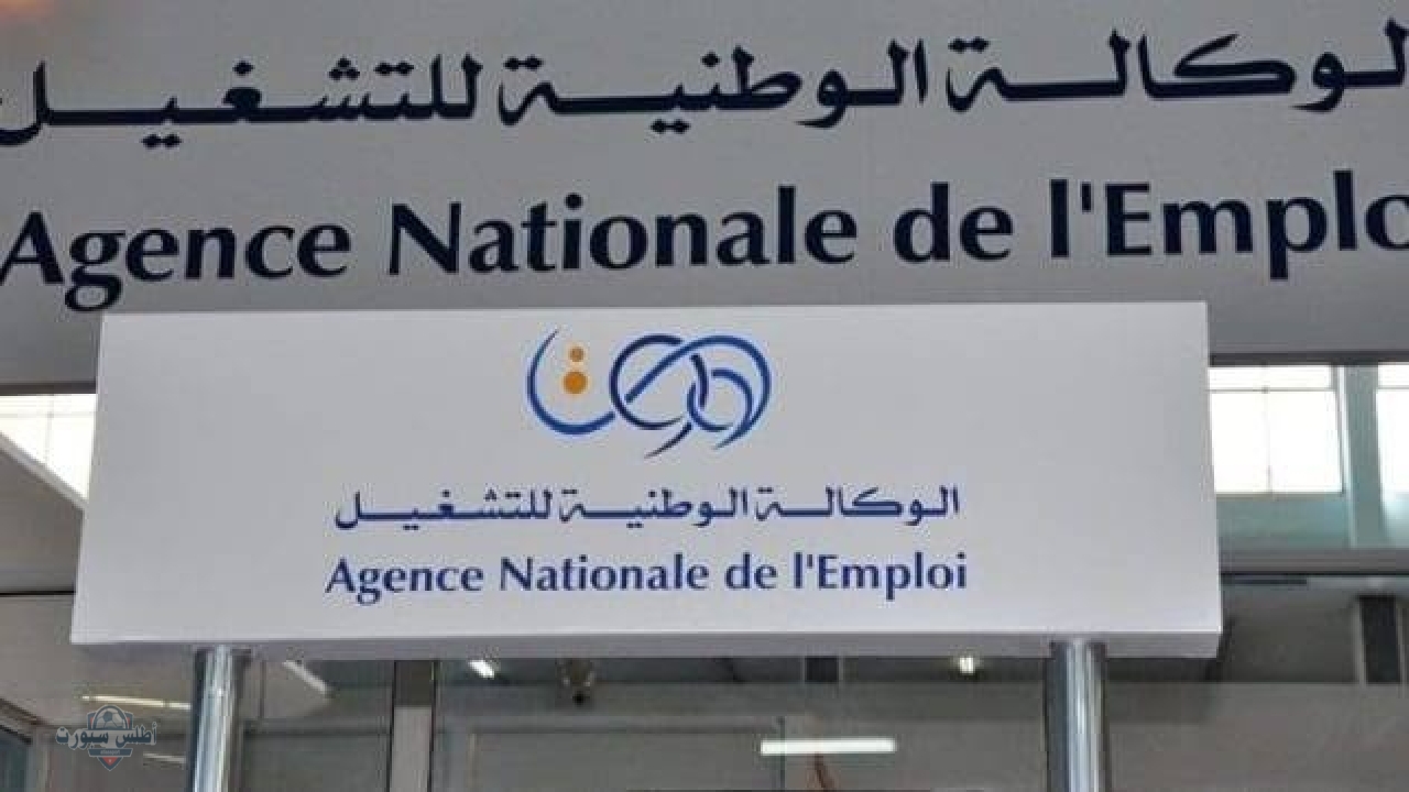 جددها الآن.. اليكم طريقة تجديد منحة البطالة بالجزائر وما هي المستندات المطلوبة وكافة التفاصيل 2 جددها الآن.. اليكم طريقة تجديد منحة البطالة بالجزائر وما هي المستندات المطلوبة وكافة التفاصيل