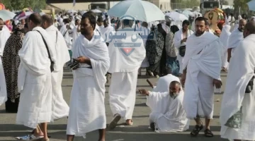 اللقاحات الأساسية للحجاج