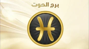 برج الجوزاء 8