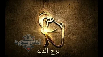 برج الدلو
