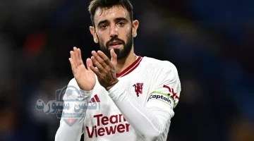 برونو فيرنانديز 1