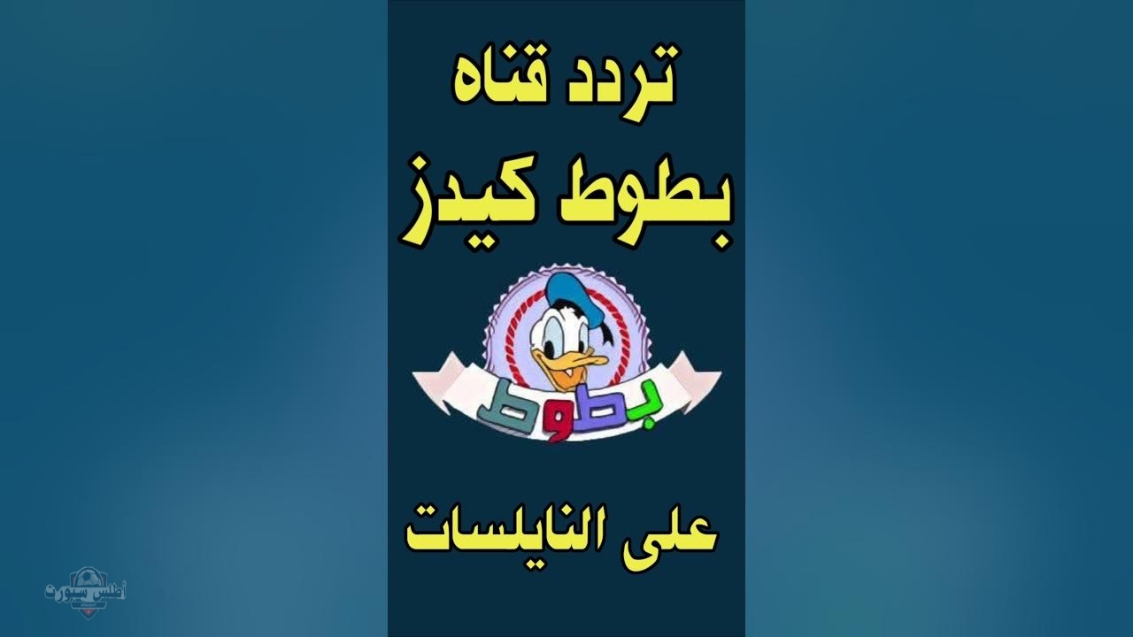 سلي وقتهم بأحلى كرتون .. تردد قناة بطوط كيدز 2025 2 سلي وقتهم بأحلى كرتون .. تردد قناة بطوط كيدز 2025
