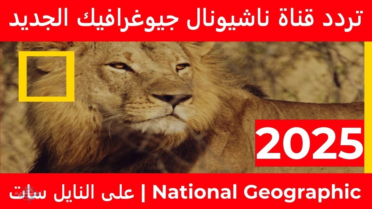 تردد قناة ناشيونال جيوغرافيك الجديد عبر نايل وعرب سات بأعلى جودة إشارة 2 تردد قناة ناشيونال جيوغرافيك الجديد عبر نايل وعرب سات بأعلى جودة إشارة