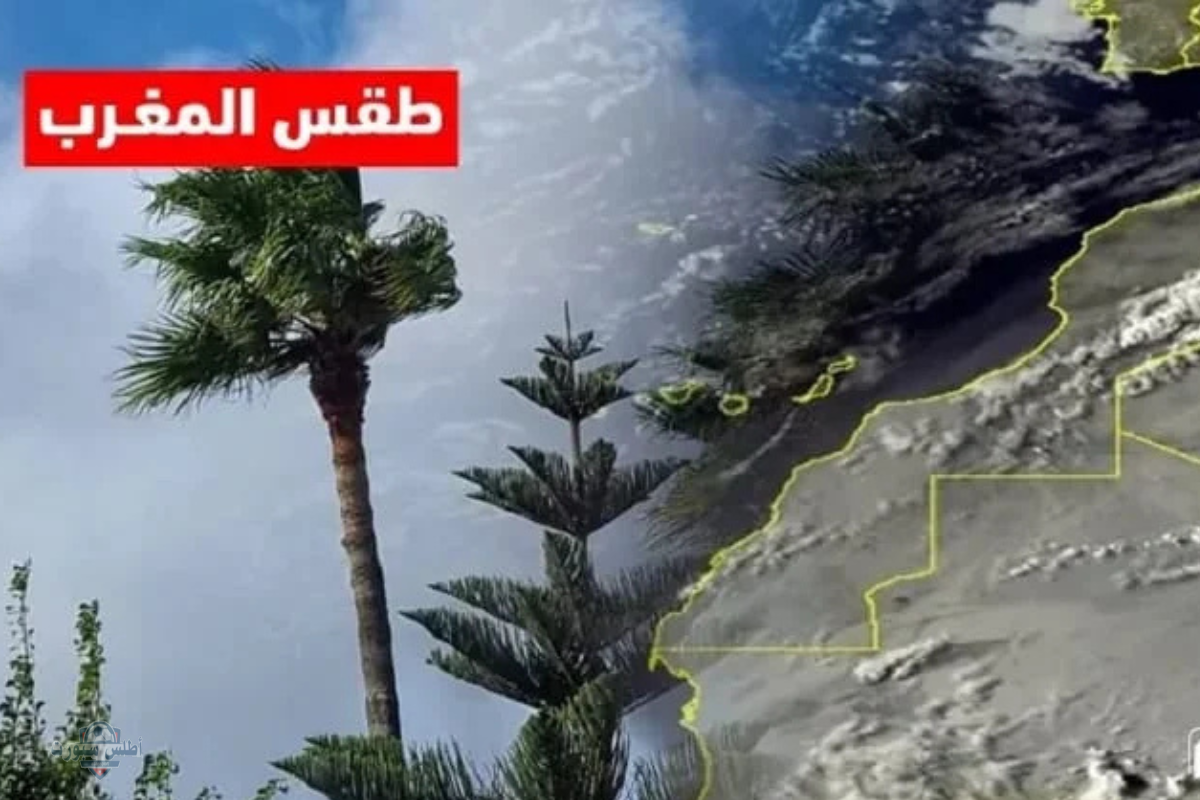 المديرية العامة للأرصاد الجوية تنشر توقعات حالة الطقس في المغرب اليوم.. أجواء حارة غائمة 2 المديرية العامة للأرصاد الجوية تنشر توقعات حالة الطقس في المغرب اليوم.. أجواء حارة غائمة
