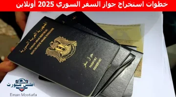 خطوات استخراج جواز السفر السوري 2025 أونلاين
