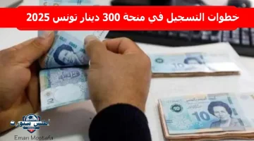خطوات التسجيل في منحة 300 دينار تونس 2025