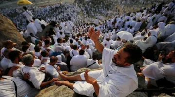 رأس ماشية استعداداً لموسم الحج