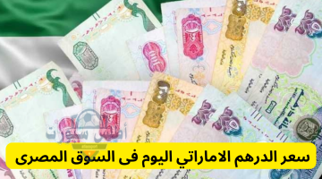 سعر الدرهم الإماراتي