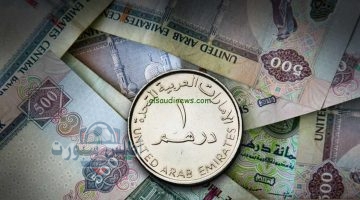 سعر الدرهم الإماراتي مقابل الجنيه المصري