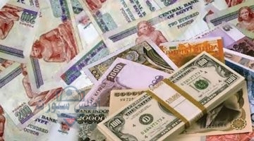 سعر الدولار اليوم