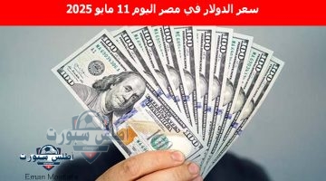 سعر الدولار في مصر اليوم