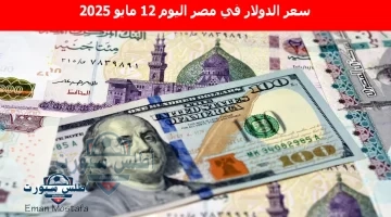 سعر الدولار في مصر اليوم 8