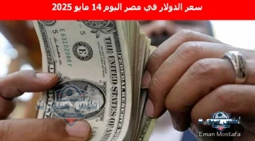 سعر الدولار في مصر اليوم 9