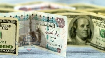 سعر الدولار مقابل الجنيه المصري 1
